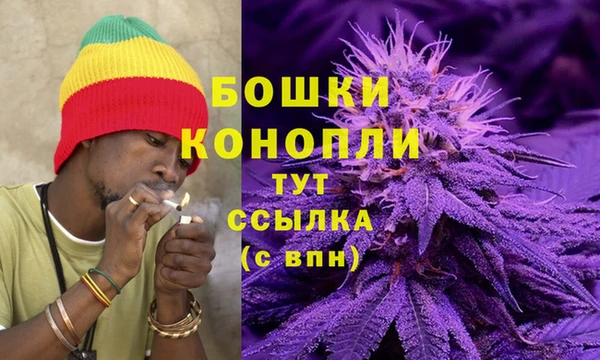соль курить ск Богданович